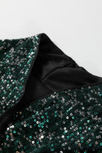 Evergreen Glitter Sequin Open Front Long Sleeve Top