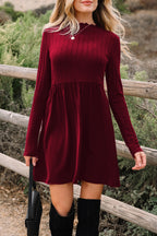 Red Dahlia Frilled Neck Ribbed Knit Patchwork Long Sleeve Mini Dress