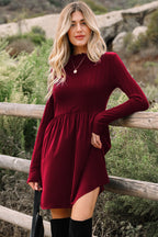 Red Dahlia Frilled Neck Ribbed Knit Patchwork Long Sleeve Mini Dress