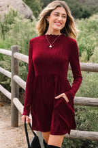 Red Dahlia Frilled Neck Ribbed Knit Patchwork Long Sleeve Mini Dress